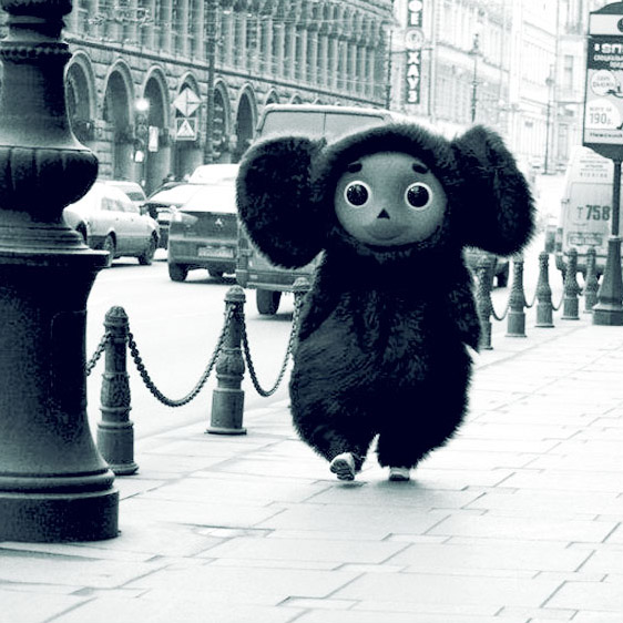 critter