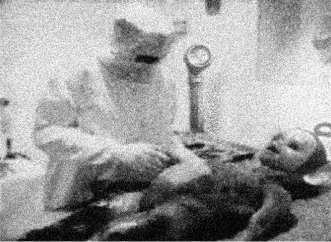 alienautopsy