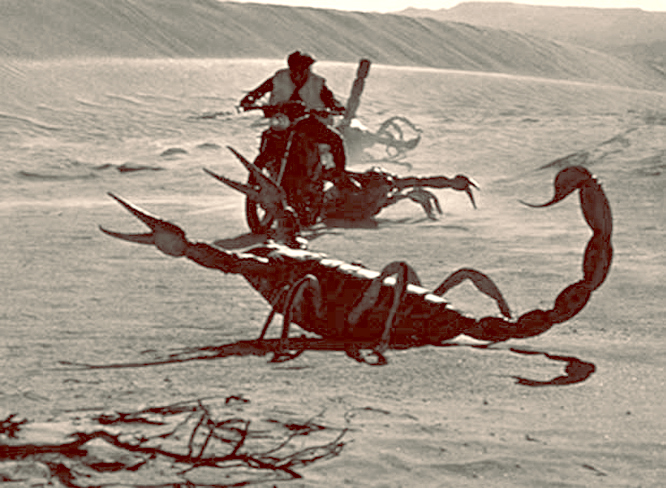 skorpion