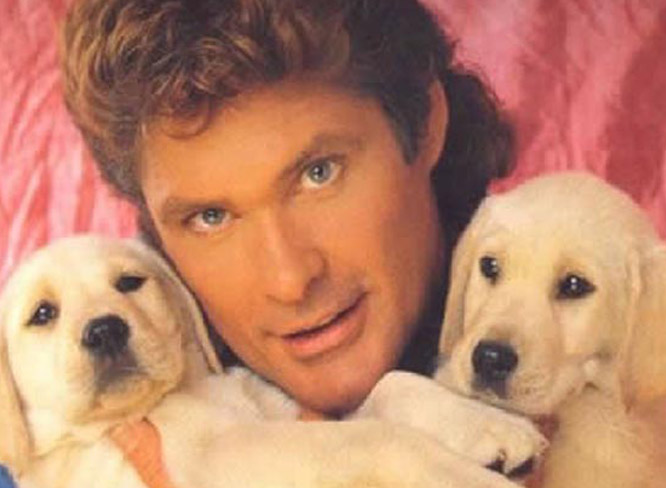 thehoff